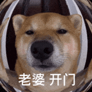 图片[18]-收图世间到~-喜欢表情包分享—全网表情包