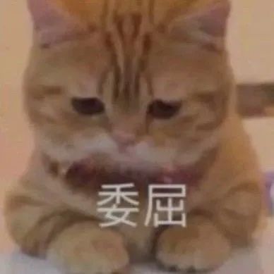 图片[18]-伤心流泪猫猫头表情包-喜欢表情包分享—全网表情包