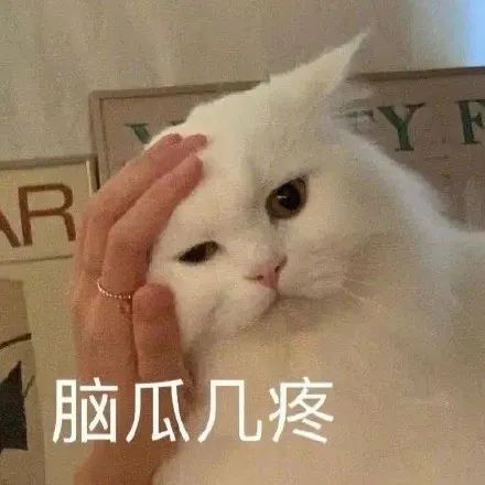 图片[2]-表情包 | 你不会以为自己很帅吧？-喜欢表情包分享—全网表情包