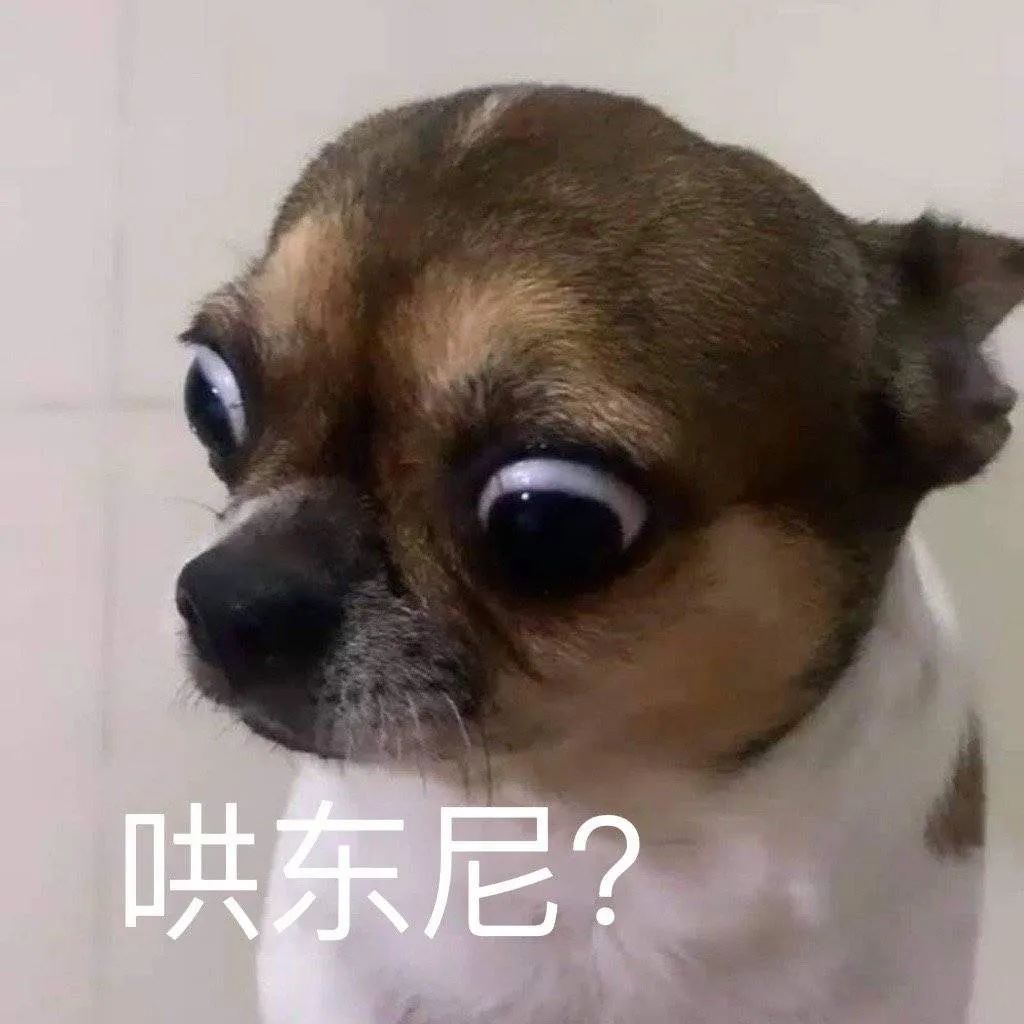 图片[15]-看到这个巴掌了吗-喜欢表情包分享—全网表情包