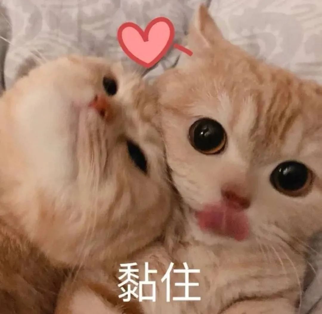 图片[10]-你好老公-喜欢表情包分享—全网表情包