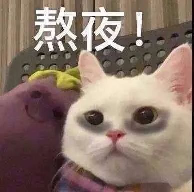 图片[34]-表情包 | 女人啊，还是要哄~-喜欢表情包分享—全网表情包