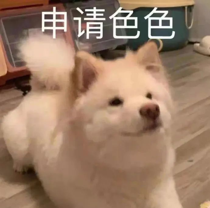 图片[19]-屁放完啦？-喜欢表情包分享—全网表情包