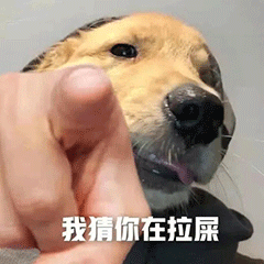 图片[7]-我猜你在拉屎-喜欢表情包分享—全网表情包