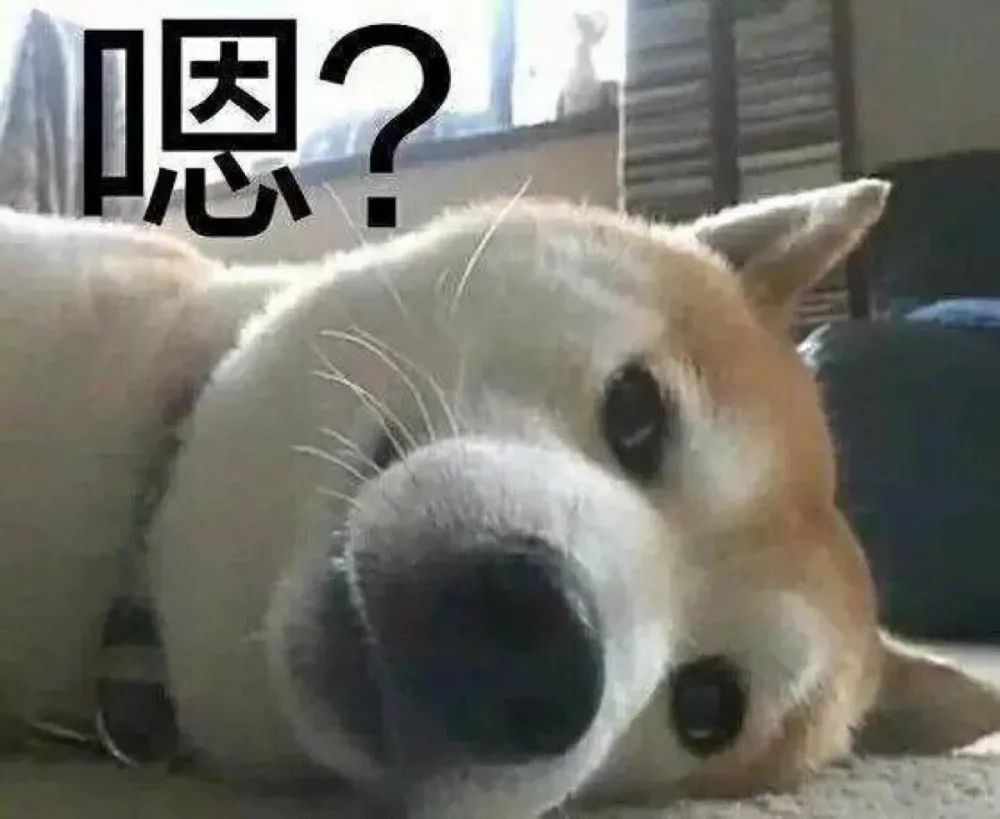 图片[10]-哦不可以色色-喜欢表情包分享—全网表情包