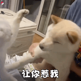 图片[42]-就你，给我看看你腹肌-喜欢表情包分享—全网表情包