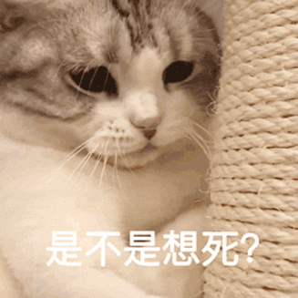 图片[20]-我能和你用情侣头像吗-喜欢表情包分享—全网表情包