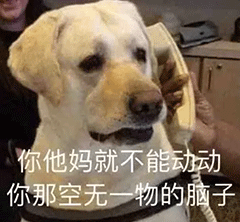 图片[16]-沙雕表情包-喜欢表情包分享—全网表情包