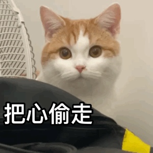 图片[3]-申请贴贴-喜欢表情包分享—全网表情包