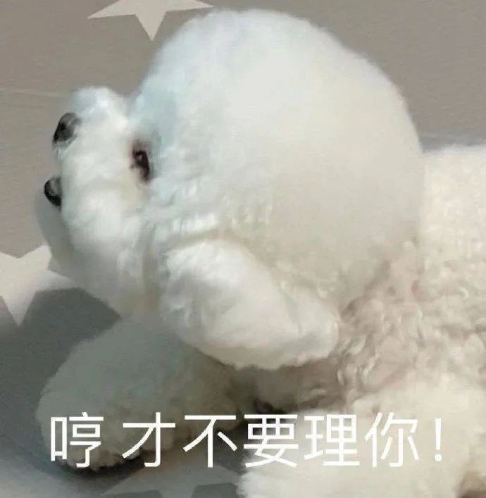 图片[20]-表情包-喜欢表情包分享—全网表情包