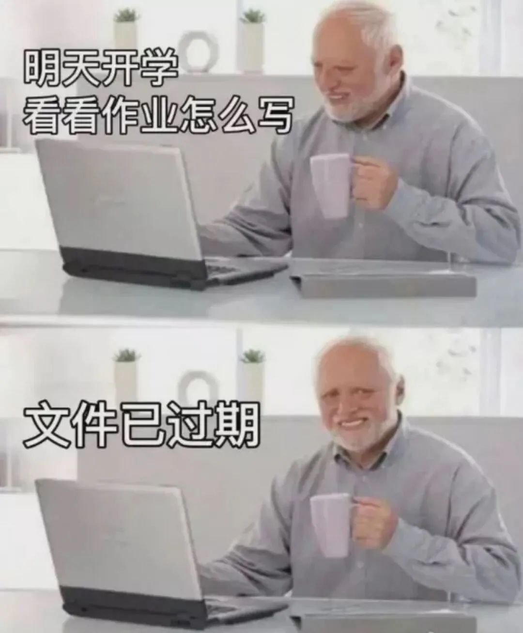 图片[2]-不想学习不想上班-喜欢表情包分享—全网表情包