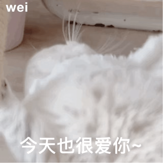 图片[18]-你们要的冰墩墩超火表情包-喜欢表情包分享—全网表情包