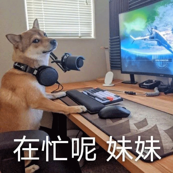 图片[10]-在忙呢 妹妹-喜欢表情包分享—全网表情包