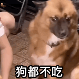 图片[69]-宝！亲我这里！-喜欢表情包分享—全网表情包
