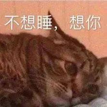 图片[22]-家人们端午安康~-喜欢表情包分享—全网表情包