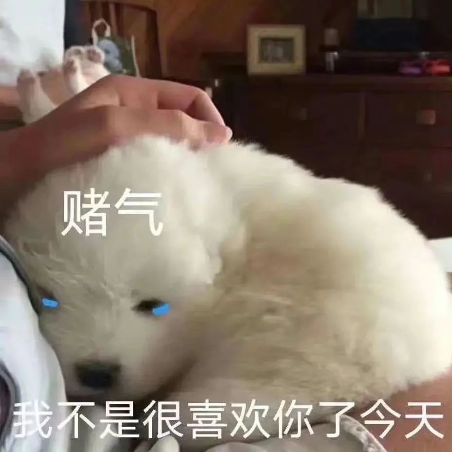 图片[10]-可爱的猫猫狗勾表情增加了-喜欢表情包分享—全网表情包