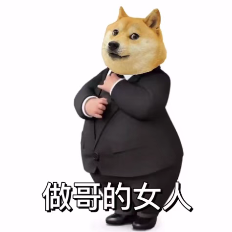 图片[4]-哈哈哈 豹笑-喜欢表情包分享—全网表情包