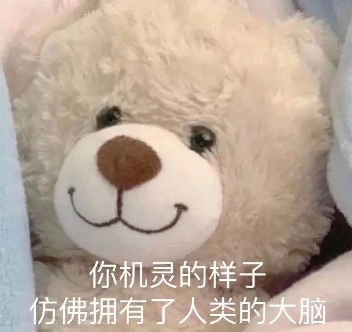 图片[25]-你别是个傻子吧-喜欢表情包分享—全网表情包