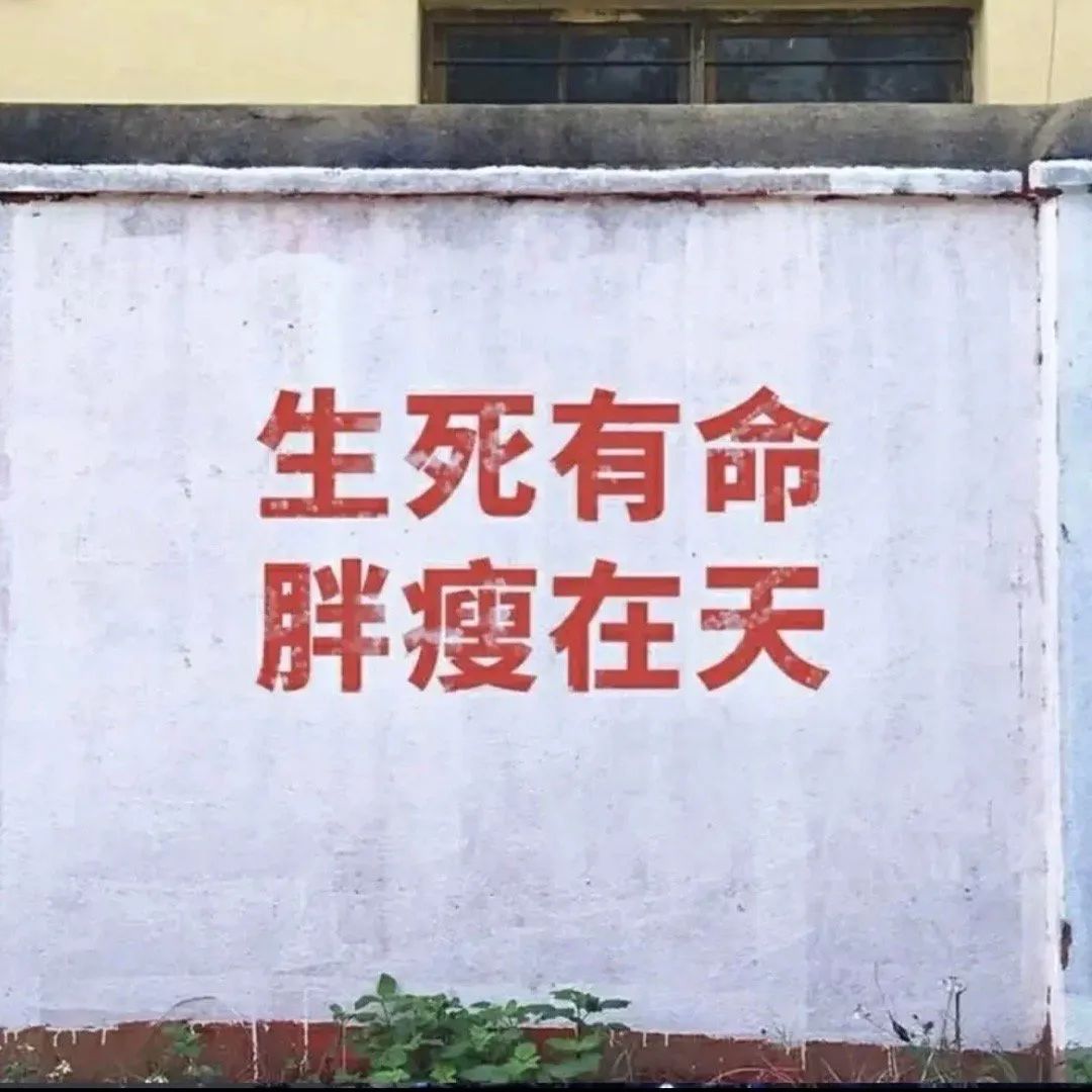 图片[21]-今天还没亲亲呢-喜欢表情包分享—全网表情包