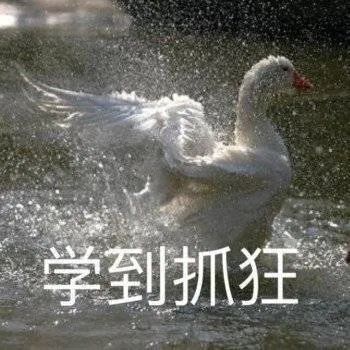 图片[7]-我就是缠你的身子-喜欢表情包分享—全网表情包