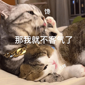图片[5]-果然是在做羞羞的事啊-喜欢表情包分享—全网表情包