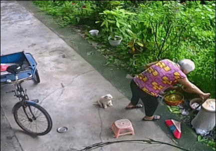 图片[1]-【GIF】没白疼-喜欢表情包分享—全网表情包