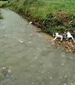 图片[1]-【GIF】没对比 就没有伤害-喜欢表情包分享—全网表情包