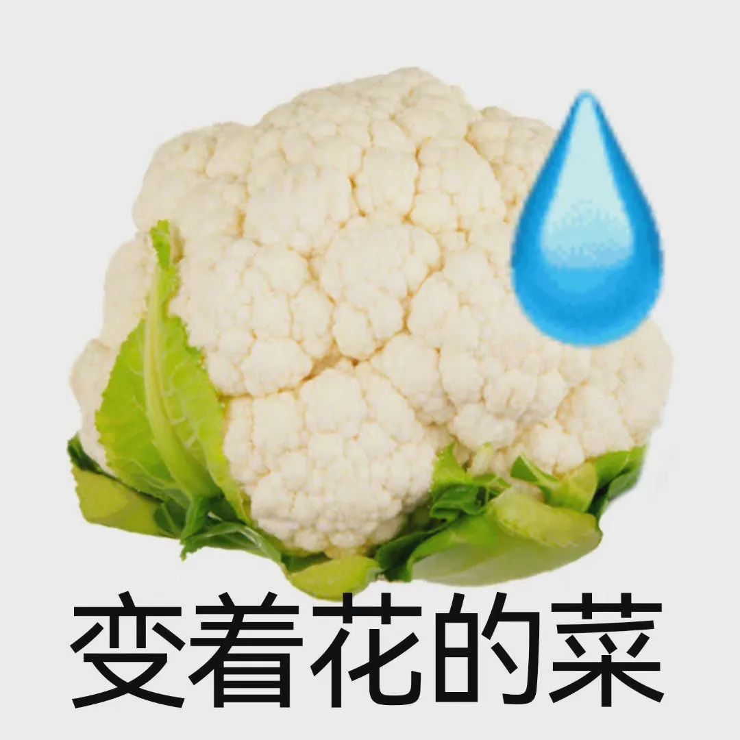 图片[2]-奇怪的表情包来了-喜欢表情包分享—全网表情包