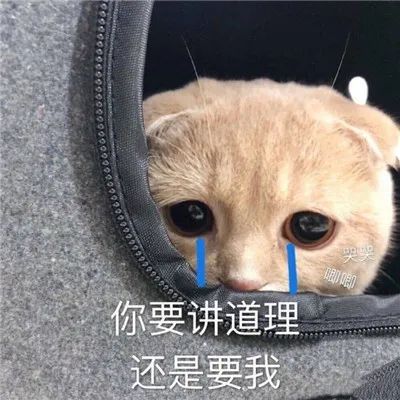 图片[6]-道歉专用表情包-喜欢表情包分享—全网表情包