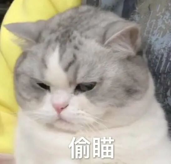 图片[56]-抖音热门表情包丨我今天巨巨巨巨巨巨巨想你-喜欢表情包分享—全网表情包