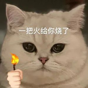 图片[12]-快哄我-喜欢表情包分享—全网表情包