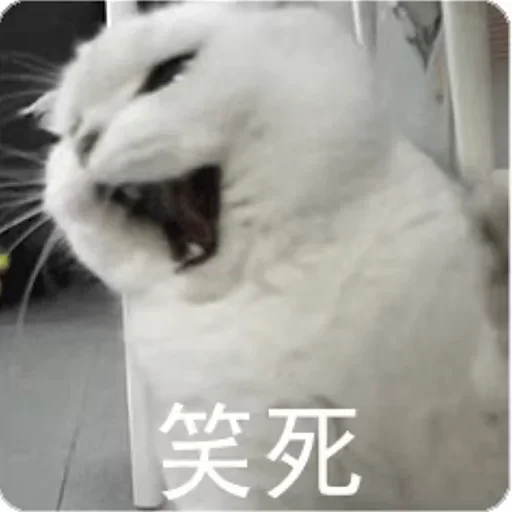 图片[16]-欺负窝-喜欢表情包分享—全网表情包