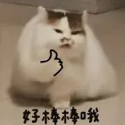 图片[11]-好棒棒哦-喜欢表情包分享—全网表情包
