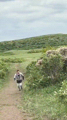 图片[1]-【GIF】不讲武德-喜欢表情包分享—全网表情包