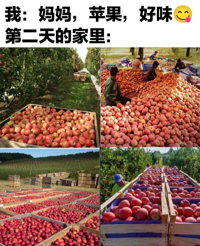 图片[5]-破防了 家人们-喜欢表情包分享—全网表情包