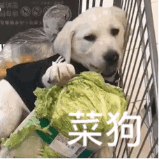 图片[4]-沙雕表情包-喜欢表情包分享—全网表情包