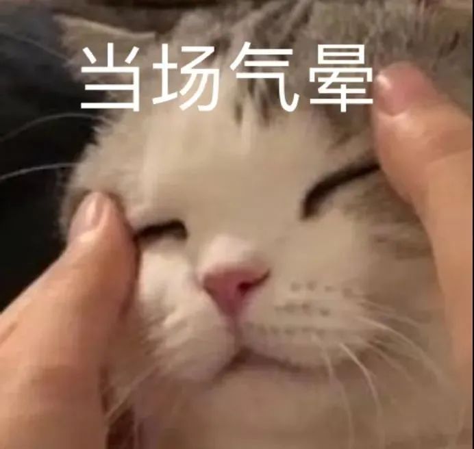 图片[32]-拿撸路多-喜欢表情包分享—全网表情包