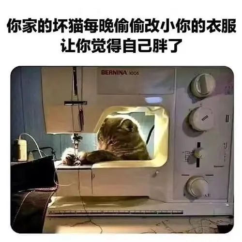 图片[10]-麻了-喜欢表情包分享—全网表情包
