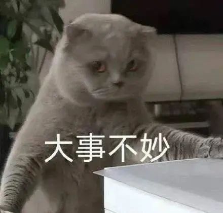 图片[17]-你别是个傻子吧-喜欢表情包分享—全网表情包