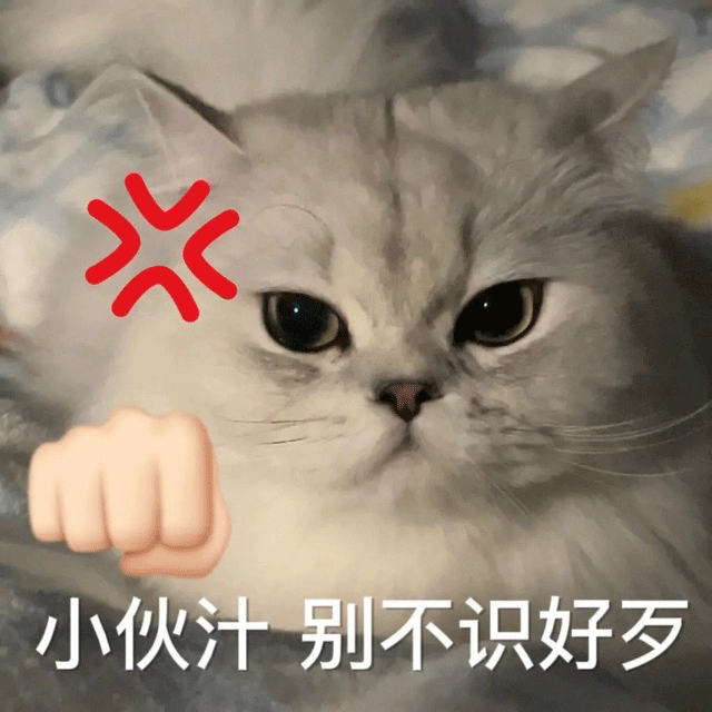 图片[26]-就你，给我看看你腹肌-喜欢表情包分享—全网表情包
