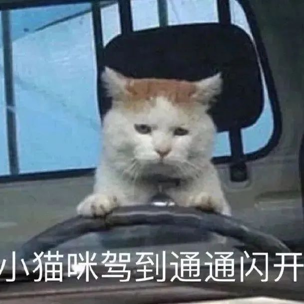 图片[25]-系啊 我介样的人整莫会被爱-喜欢表情包分享—全网表情包