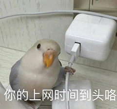 图片[16]-我猜你在拉屎-喜欢表情包分享—全网表情包