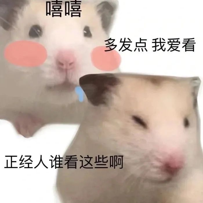 图片[20]-麻了-喜欢表情包分享—全网表情包