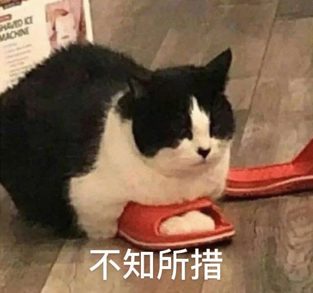 图片[4]-表情包-喜欢表情包分享—全网表情包