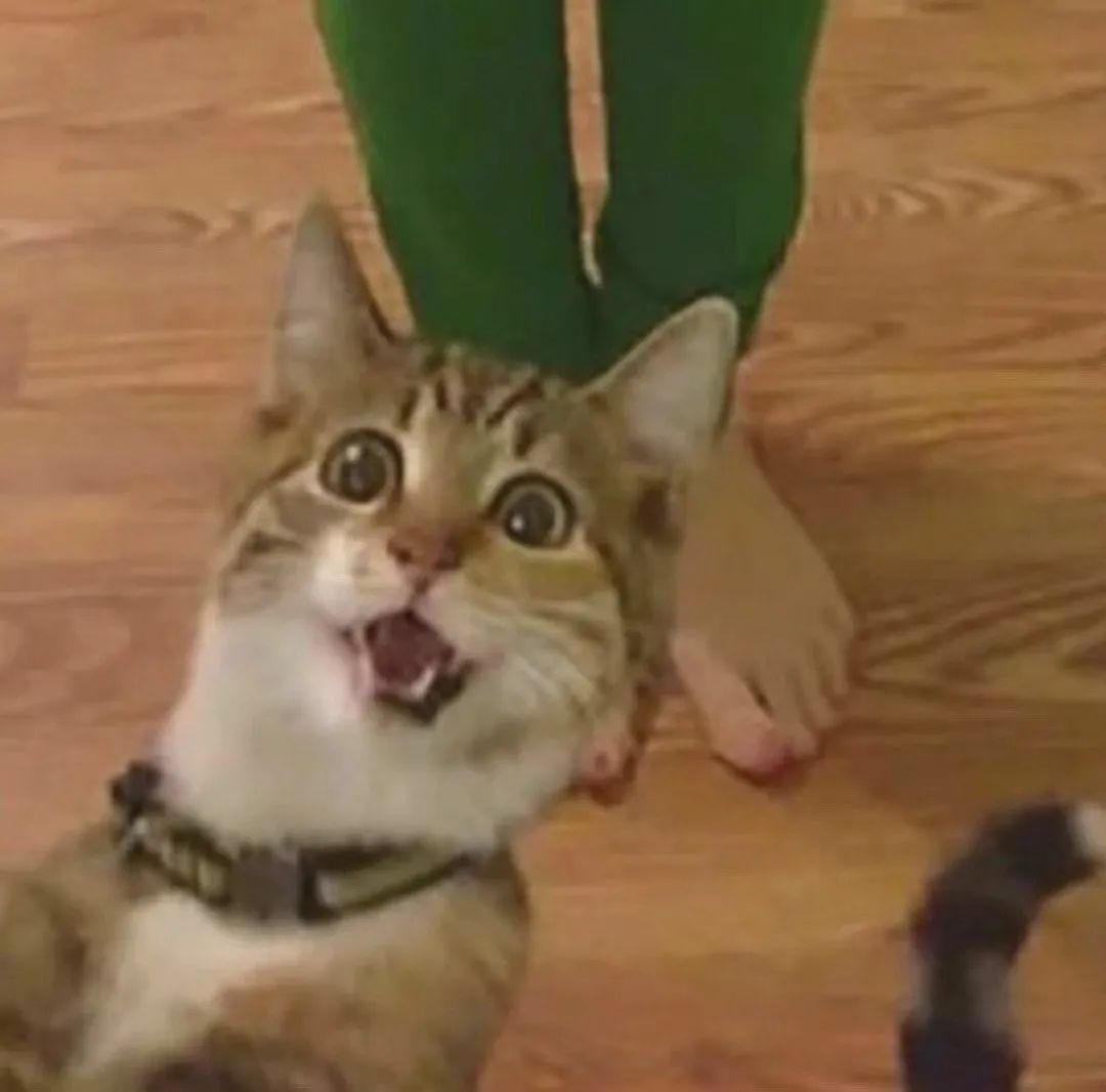 图片[11]-可爱的猫猫头增加了-喜欢表情包分享—全网表情包