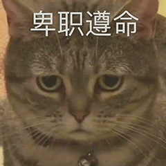 图片[4]-干什么，你不要过来!-喜欢表情包分享—全网表情包