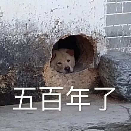 图片[13]-表情包 | 你不会以为自己很帅吧？-喜欢表情包分享—全网表情包