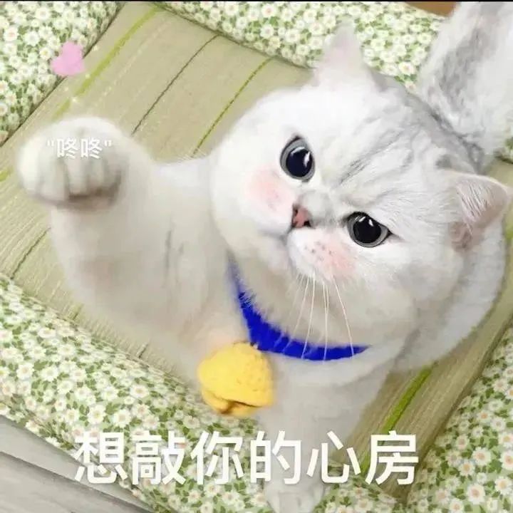 图片[11]-奇怪的表情增加了-喜欢表情包分享—全网表情包