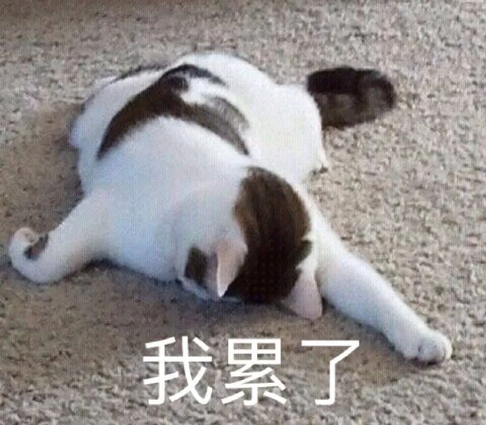 图片[5]-没见过别人亲热吗-喜欢表情包分享—全网表情包