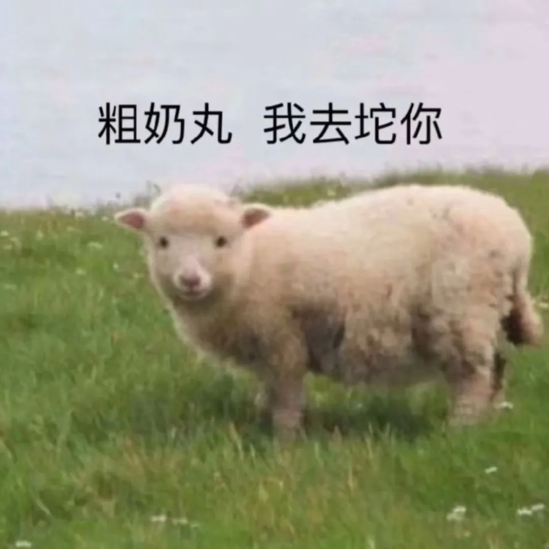 图片[43]-50个抖音很火的表情包-喜欢表情包分享—全网表情包